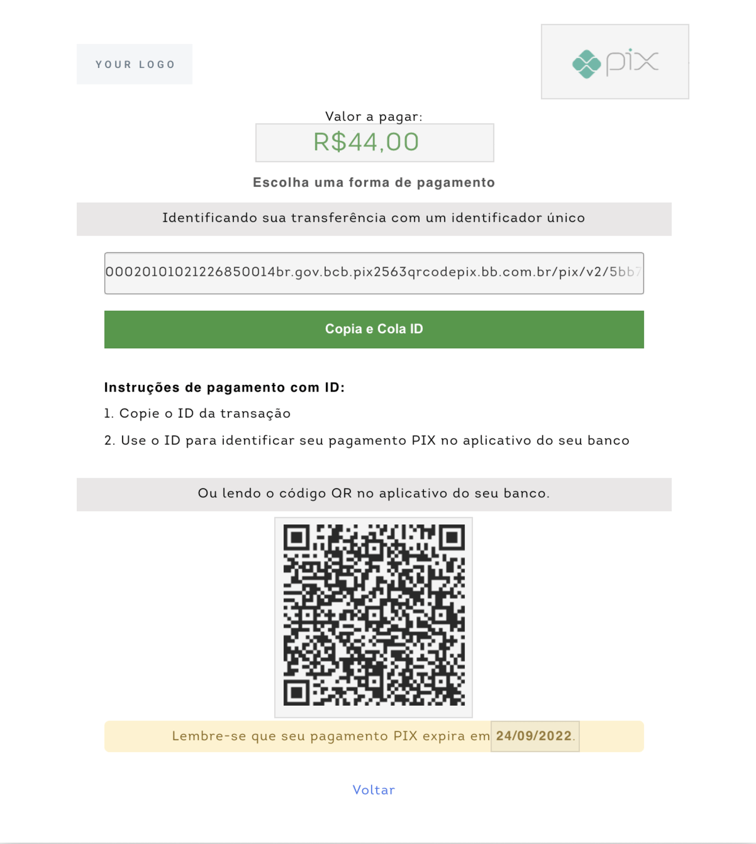 PIX QR code payment